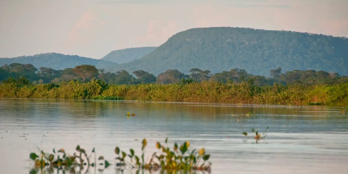 Cerrado perdeu 13,9 milhões de hectares de mata às margens de rios