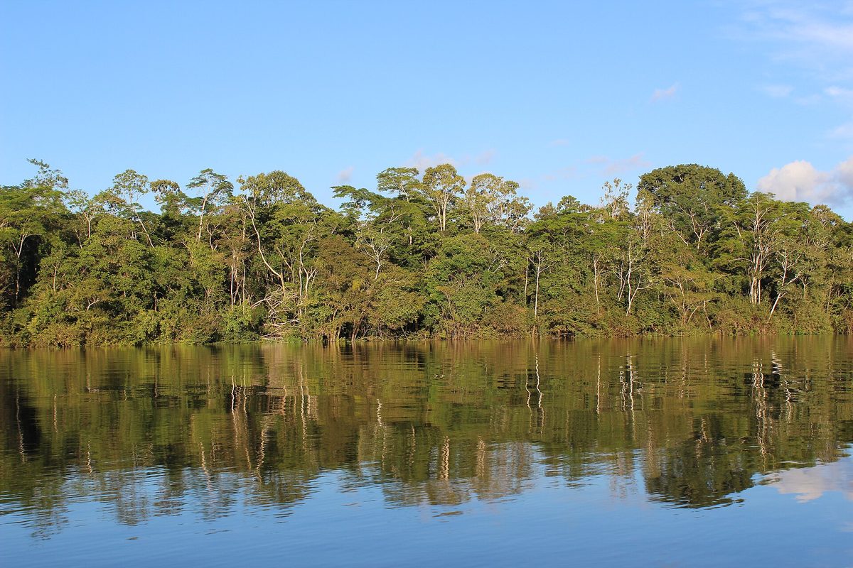 Fundo Amazônia investe R$ 147,6 milhões em monitoramento por satélite