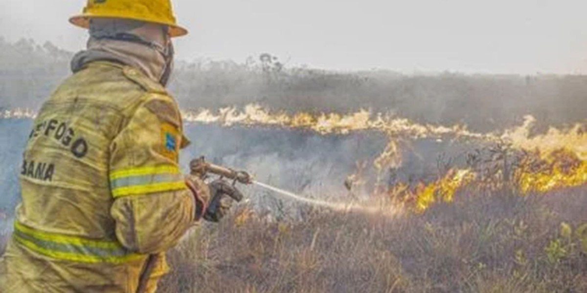 Governo investiga se incêndios no Amazonas são organizados